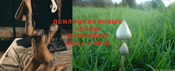 эйфоретик Приозерск