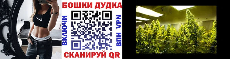 Бошки Шишки план  Данков 